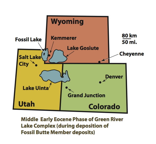 The Green River Formation Expeditions